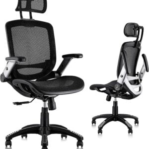 GABRYLLY Ergonomic Mesh Office Chair