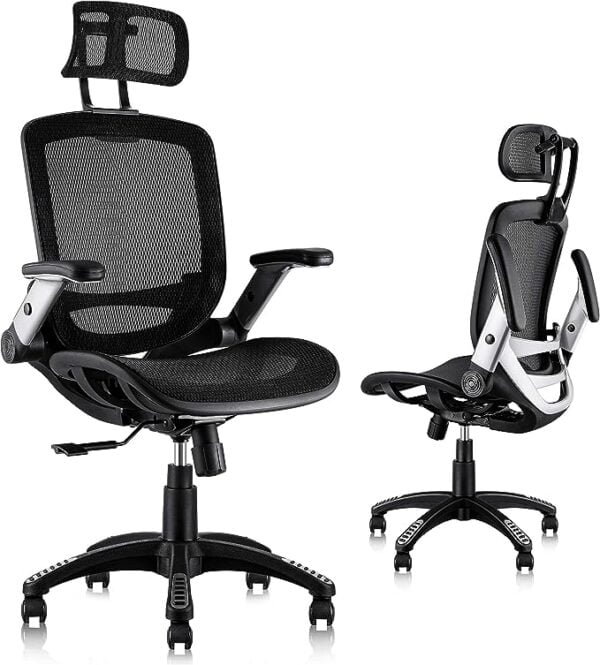 GABRYLLY Ergonomic Mesh Office Chair